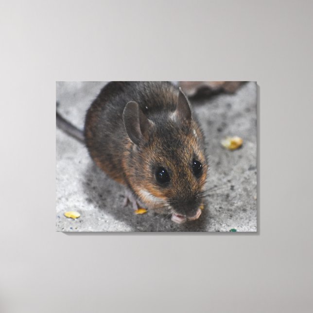 Wood Mouse  Canvas Print (Front)