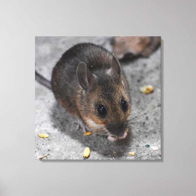 Wood Mouse  Canvas Print (Front)