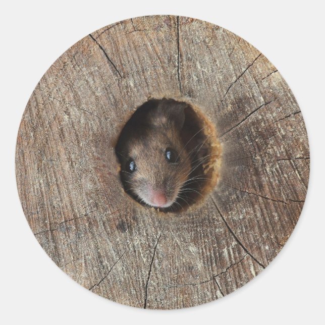 Wood Mouse Classic Round Sticker (Front)