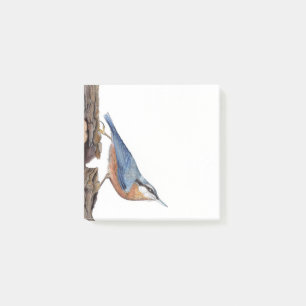 Wood Nuthatch Bird Post-It® Notes, 3" x 3" Post-it Notes