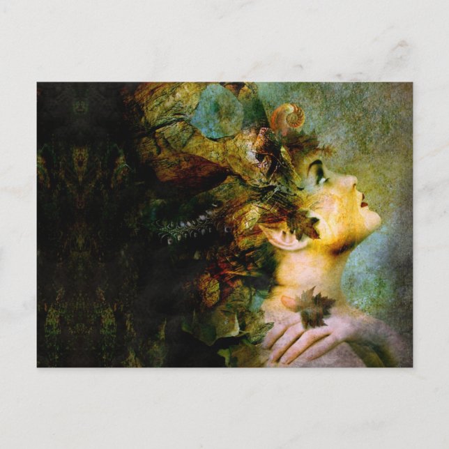 wood nymphette postcard (Front)