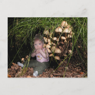 Wood on the tree postcard