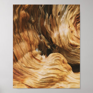 wood pattern texture nature old poster