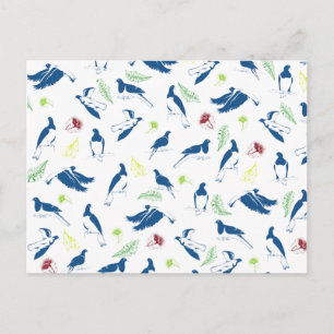 Wood Pigeon Kereru NZ Bird Postcard