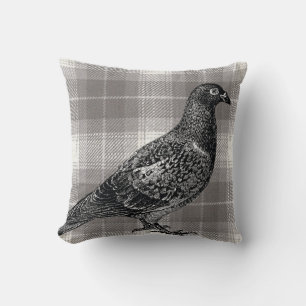 Wood pigeon, on grey check cushion