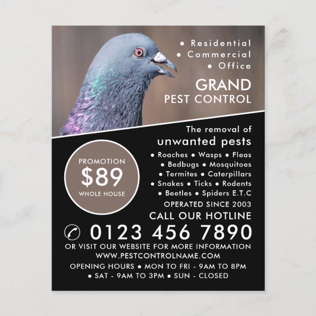 Wood Pigeon, Pest Control Advertising Flyer (Front)