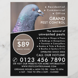 Wood Pigeon, Pest Control Advertising Flyer