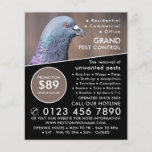 Wood Pigeon, Pest Control Advertising Flyer<br><div class="desc">Wood Pigeon,  Pest Control Advertising Flyer by The Business Card Store.</div>