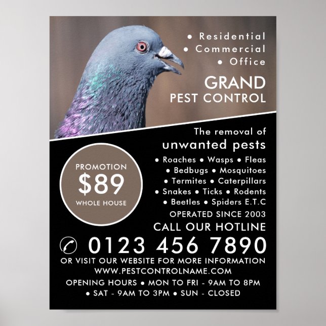 Wood Pigeon, Pest Control Advertising Poster (Front)