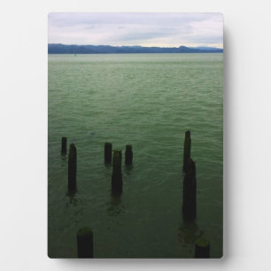 Wood Pilings, Astoria, OR Plaque