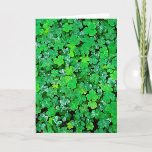 Wood Sorrel In Spring Card