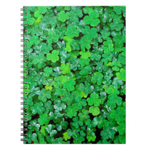Wood Sorrel In Spring Notebook