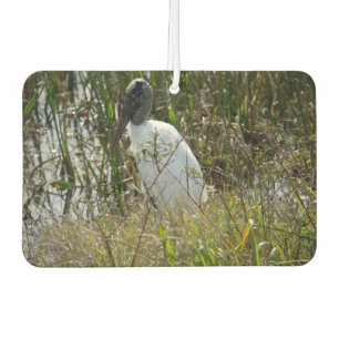 Wood Stork at Viera Wetlands Car Air Freshener