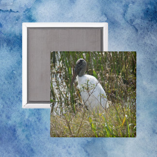Wood Stork Bird Wetlands Florida Photo Magnet