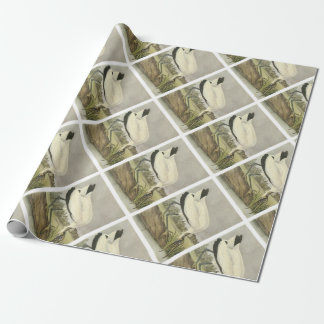 Wood Stork by Audubon Wrapping Paper