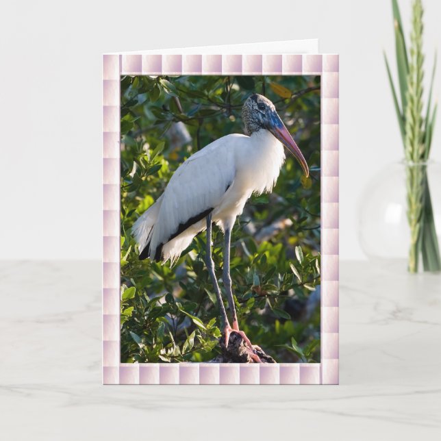 Wood Stork Card (Front)