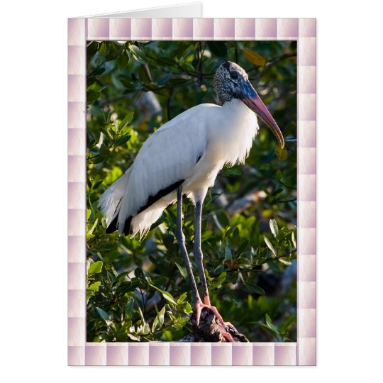 Wood Stork Card
