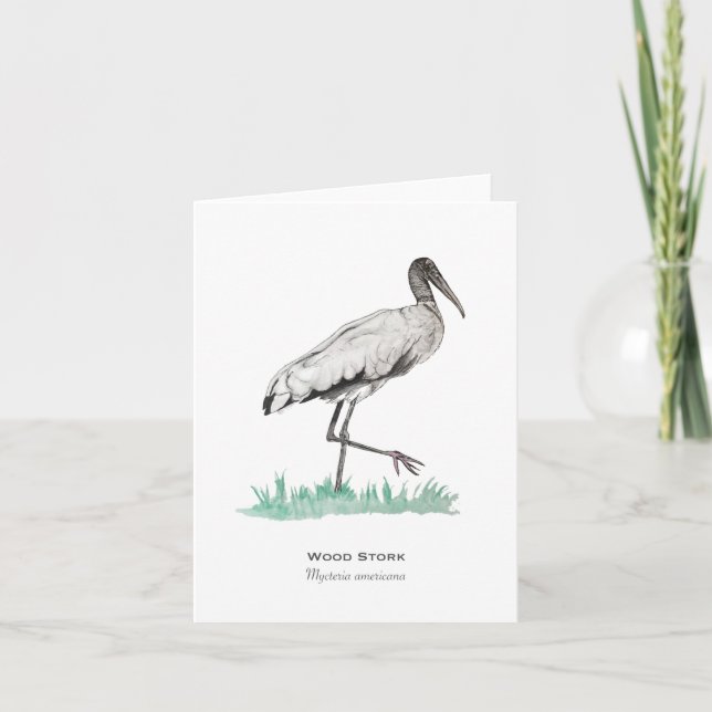 Wood Stork Folded Note Card (Front)