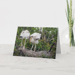 Wood Stork Greeting Card