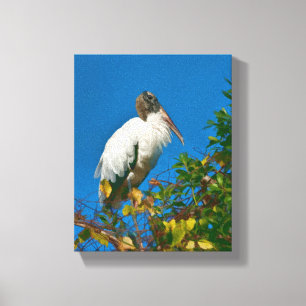 Wood Stork in a Tree Canvas Print