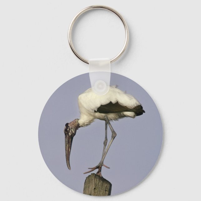 Wood Stork Key Ring (Front)