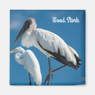 Wood Stork Magnet