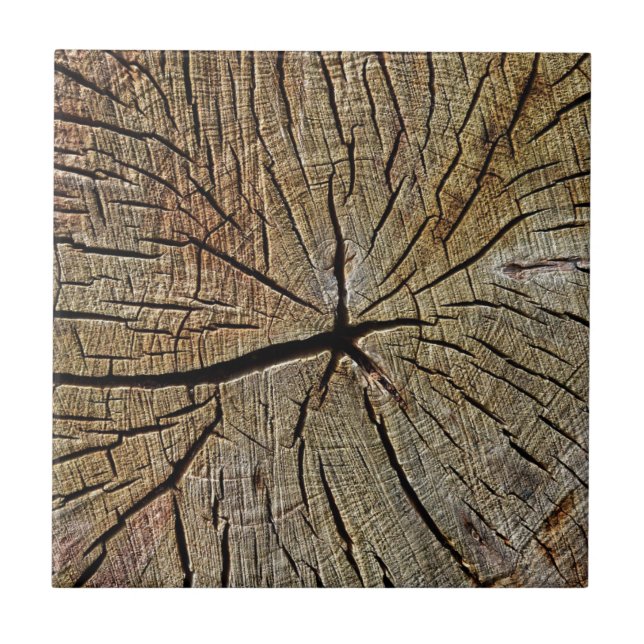 Wood Texture Grain Tree Year Rings Pattern Tile (Front)