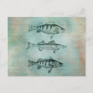 Wood Textured Look Fish Design Postcard