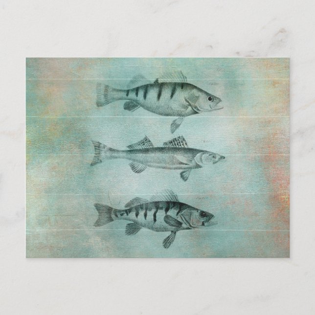 Wood Textured Look Fish Design Postcard (Front)