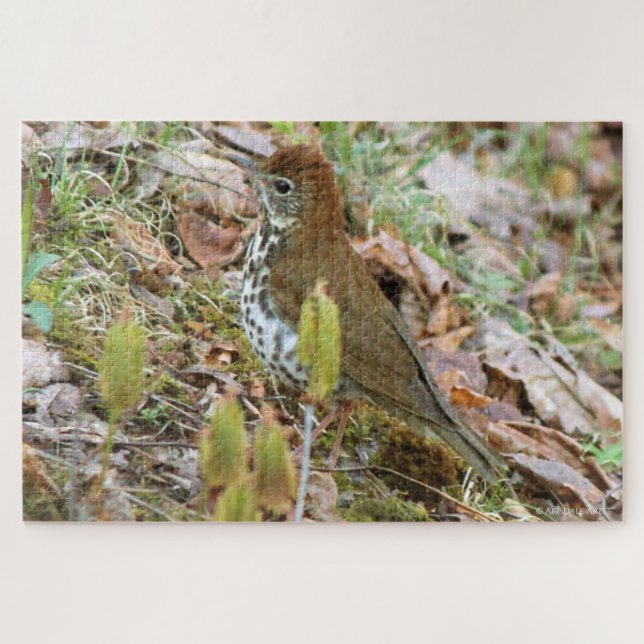Wood Thrush Jigsaw Puzzle (Horizontal)
