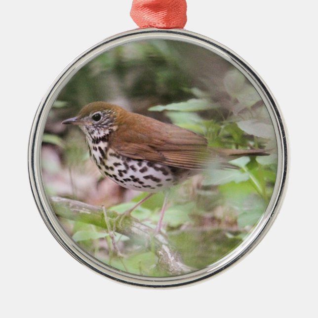 Wood Thrush Metal Tree Decoration (Front)