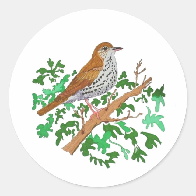Wood Thrush Songbird, a brown bird with speckles Classic Round Sticker (Front)
