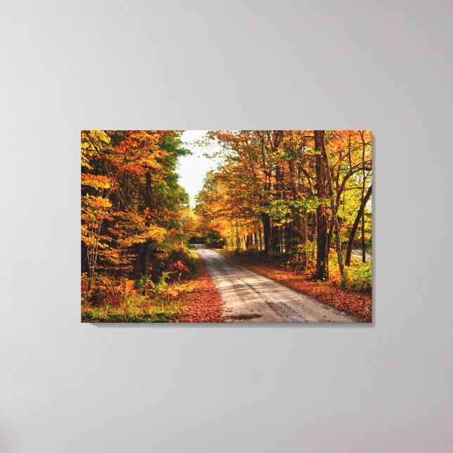 Wood trail with fall foliage canvas print (Front)