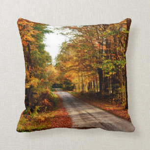 Wood trail with fall foliage cushion