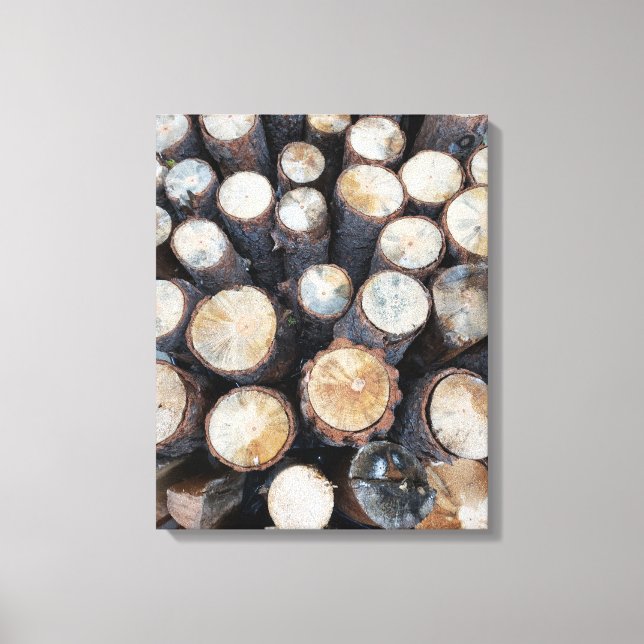wood tree logs original nature photograph  canvas print (Front)