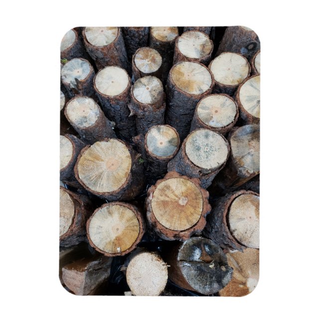 wood tree logs original nature photograph  magnet (Vertical)