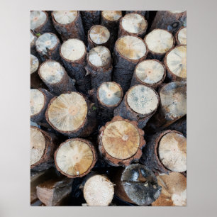 wood tree logs original nature photograph  poster