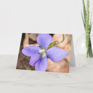 Wood Violet Wildflower Notecard