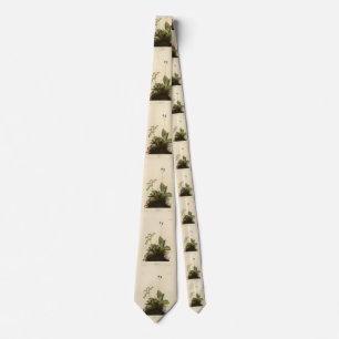 Wood Wren (House Wren), Audubon's Birds of America Tie
