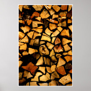 Woodblock by Johannes Stötter Poster