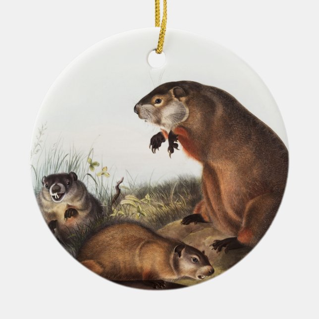 Woodchuck (Arctomys monax) Illustration Ceramic Tree Decoration (Front)