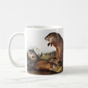 Woodchuck (Arctomys monax) Illustration Coffee Mug