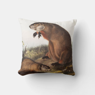 Woodchuck (Arctomys monax) Illustration Cushion