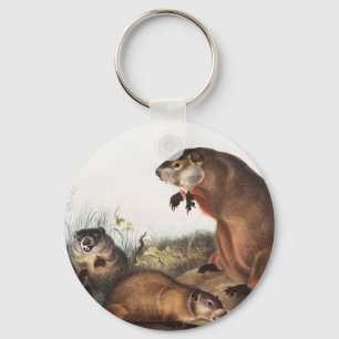 Woodchuck (Arctomys monax) Illustration Key Ring