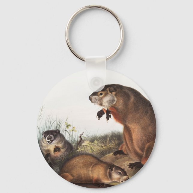Woodchuck (Arctomys monax) Illustration Key Ring (Front)