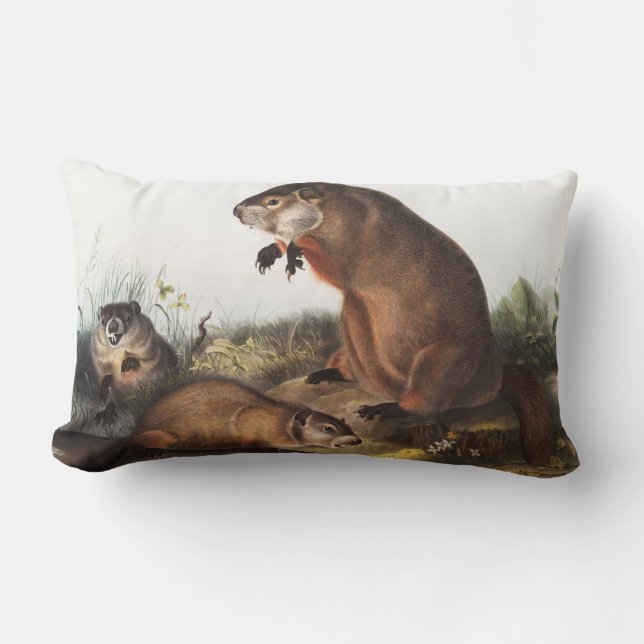Woodchuck (Arctomys monax) Illustration Lumbar Cushion (Front)