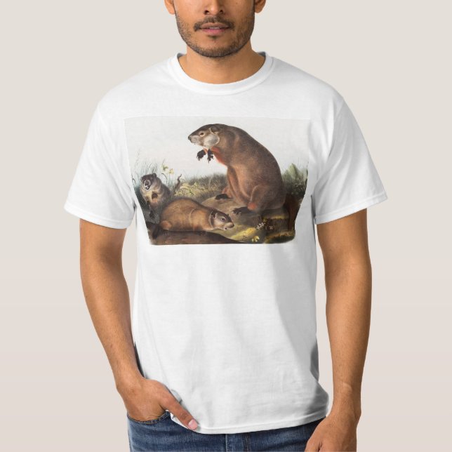 Woodchuck (Arctomys monax) Illustration T-Shirt (Front)