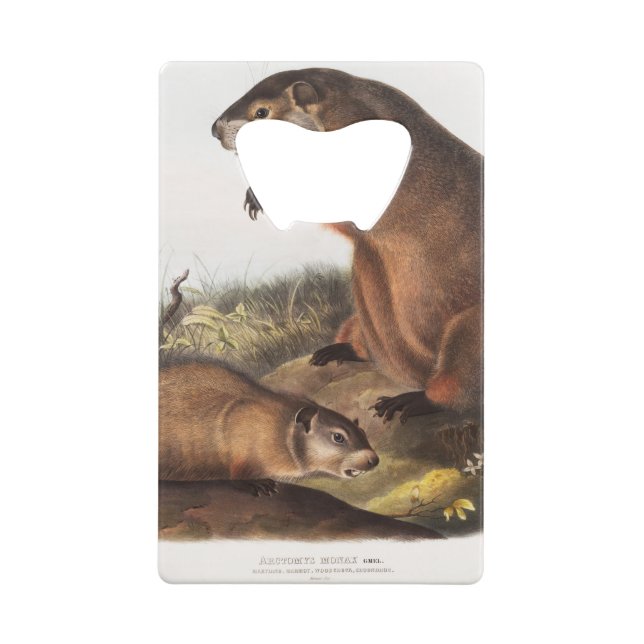 Woodchuck Camping Deco Gifts (Back)