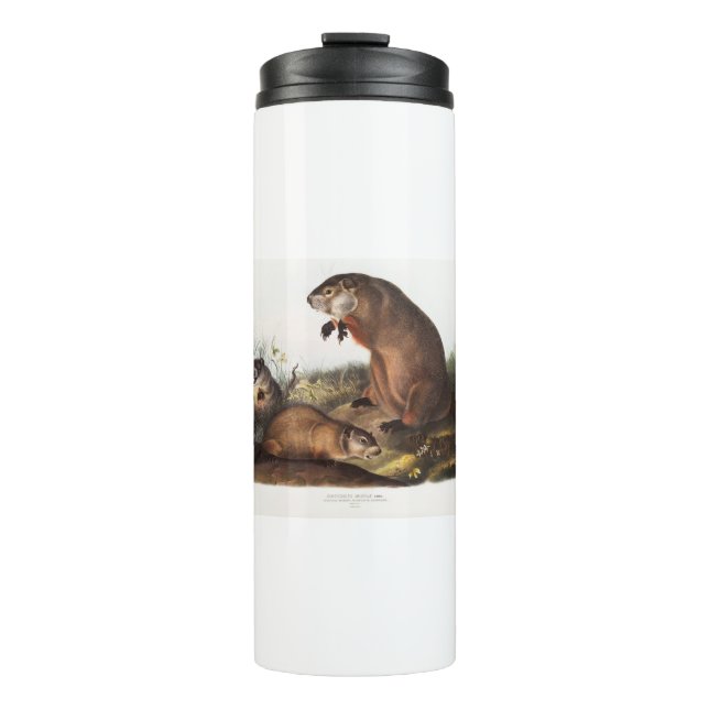 Woodchuck Camping Deco Gifts Thermal Tumbler (Front)
