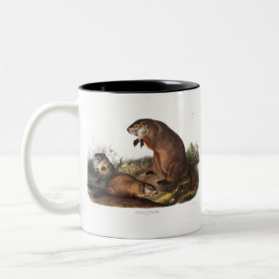 Woodchuck Camping Deco Gifts Two-Tone Coffee Mug